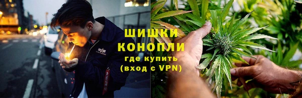 дурь Богданович