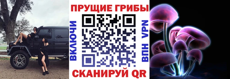 Псилоцибиновые грибы Psilocybine cubensis  Верхняя Пышма 